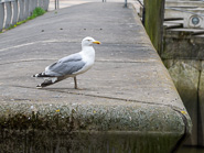 BUND-Fotowalk