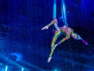 Waterland Circus