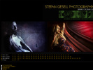 Stefan Gesell