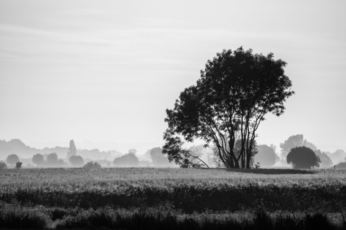 Bretagne