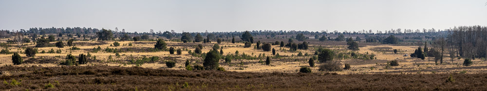 Panorame Lüneburger Heide 1