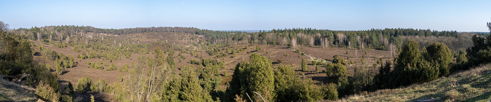Panorame Lüneburger Heide 2