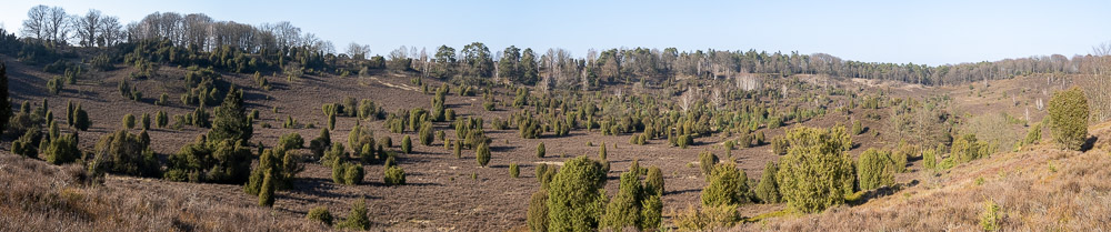 Panorame Lüneburger Heide 3